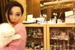 明星网红钱花在哪里,明星网红的奢华消费揭秘