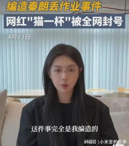 明星网红被打视频网站,明星网红被打视频引发社会关注