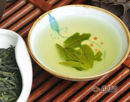 铁瓜今日行情价格,今日价格波动解析”