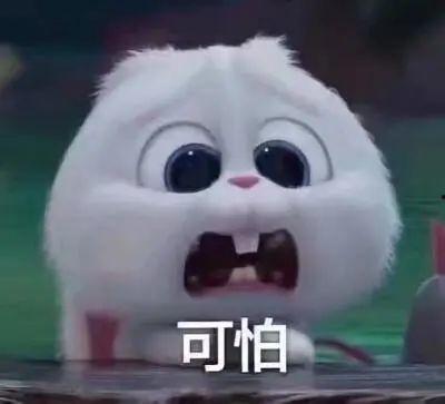 惠州今日吃瓜事件真相视频,视频还原事件始末