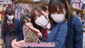 推特空姐今日吃瓜,今日推特热议的吃瓜瞬间！”