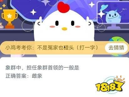 蚂蚁庄园今日答案浮甘瓜,揭秘“浮甘瓜”的神秘魅力
