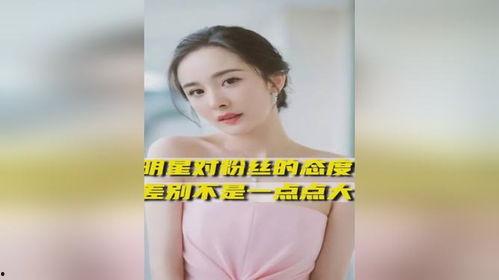 明星网红区别对待,明星与网红待遇差异解析