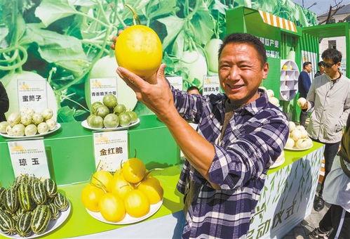 今日阎良关山瓜价格,品质瓜果受热捧，市场供需两旺”