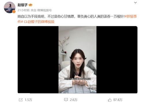胖猫明星网红是谁,网络红人的魅力与影响力揭秘