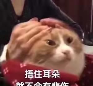 明星网红偷税漏税现状,明星网红现状深度剖析