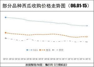 丽水今日热瓜价格行情走势,涨跌互现，市场行情实时解析