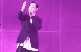 明星网红群星演唱会,群星闪耀演唱会盛典