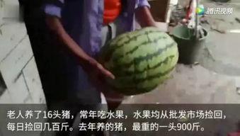 今日吃瓜完整视频,揭秘热门事件背后的真相与笑料