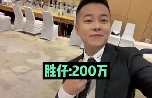 哪些明星网红为镇雄捐款,镇雄捐款行动中的明星网红力量”