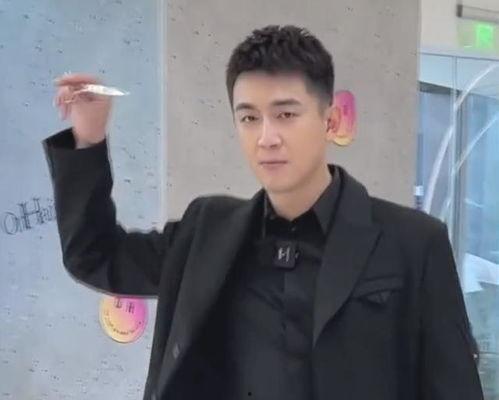 帅哥明星网红路人视角图片,帅哥明星、网红与路人的魅力瞬间