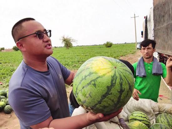 今日吃瓜每日大瓜,揭秘娱乐圈最新大瓜，精彩纷呈等你来品
