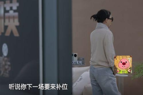 明星网红为什么容易翻车,光环背后的风险与挑战