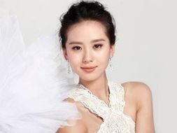 明星网红滤镜刘诗诗,明星网红滤镜的神奇魅力