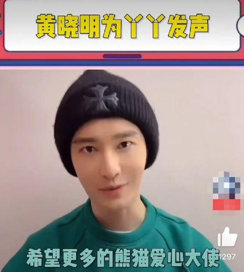 为丫丫发声的明星网红,明星网红齐发声，共筑正义之声”