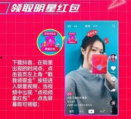 抖音明星网红授权名单,揭秘热门账号背后的明星身影