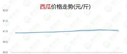 嵩明小瓜今日价格行情,涨跌波动，市场动态一览