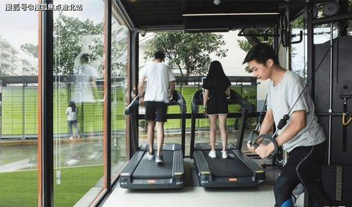 嵩明小瓜今日价格行情,涨跌波动，市场动态一览