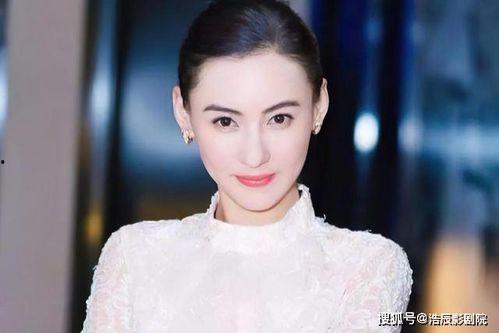 香港有什么明星网红吗,璀璨星光下的网络新势力