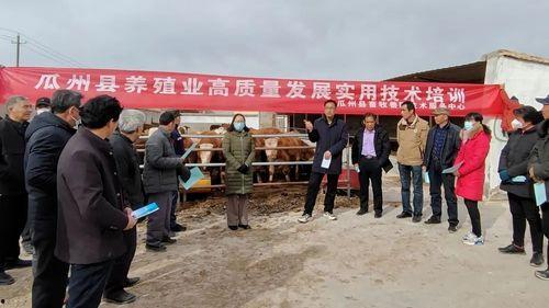 瓜州隆吉乡今日新闻,聚焦乡村振兴，共绘美好家园新画卷
