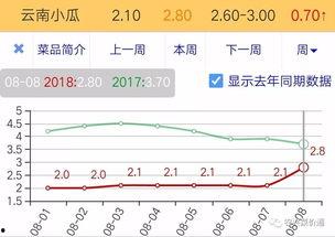今日小瓜走势预测图最新