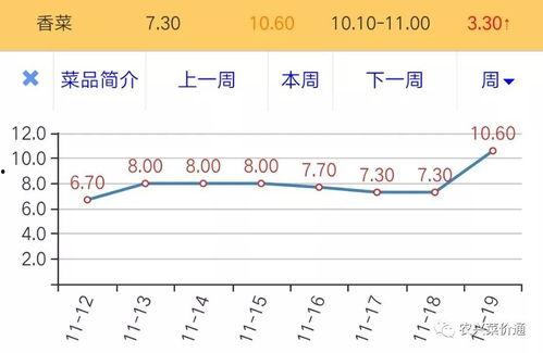 日本梅陇瓜今日价格走势,今日走势解析