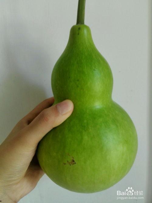 葫芦瓜今日价格,市场行情一览”