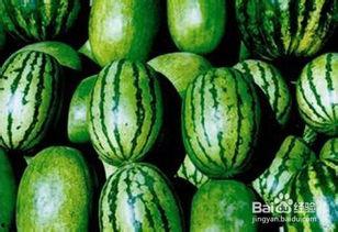 今日滨州无籽瓜价格,市场行情持续升温