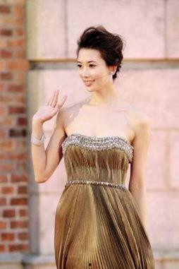 冲浪明星网红有哪些歌,冲浪明星网红的动感旋律之旅