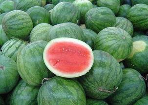 假偶天成今日瓜多,今日瓜多，娱乐圈风云再起