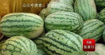张家口今日瓜价,新鲜上市，价格亲民
