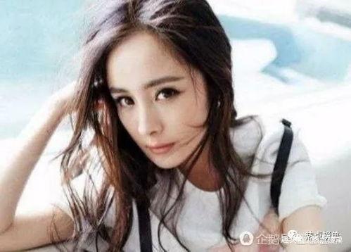 明星网红气势排名榜,揭秘当下最具人气红人排名