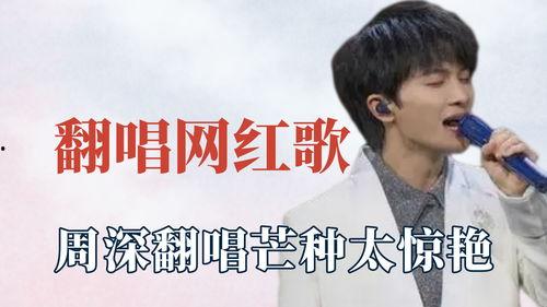 明星网红歌曲有哪些歌名,明星网红热门歌曲大盘点