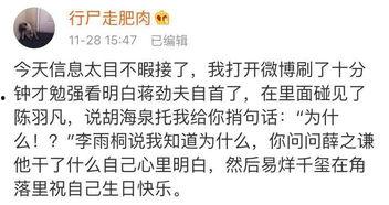 今日吃瓜句子怎么写好看,趣味横生，轻松解读娱乐圈新鲜事