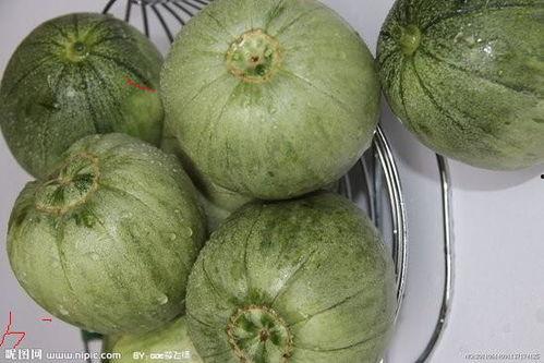 汉瓜今日行情价格,价格波动解析与市场趋势洞察”