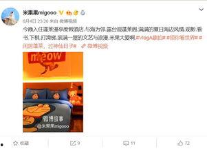 邵东明星网红打卡地,探寻明星同款魅力景点