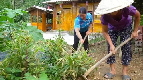 盖伊和瓜妹的今日头条,揭秘热门话题背后的故事