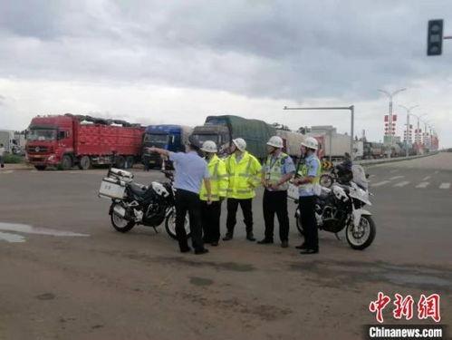 徐闻县今日瓜菜批发价格,新鲜直供，行情速递