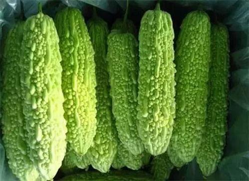 广西南宁今日吃瓜事件,一场引发热议的街头冲突瞬间”