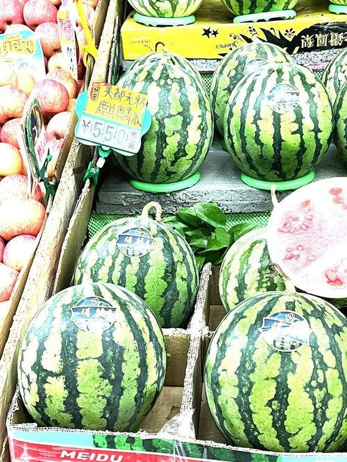 春春麒麟瓜今日价格,价格行情一览