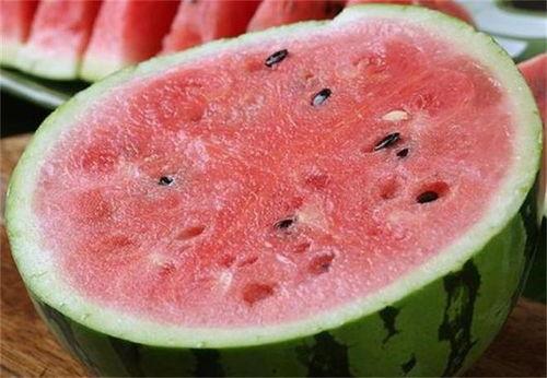 麒麟瓜种子价格最新行情今日,市场波动下的投资风向标”