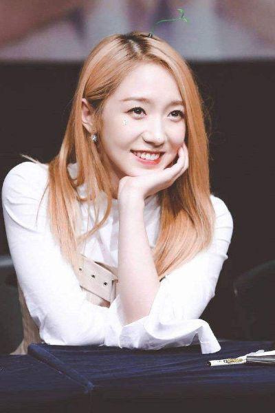 明星网红主播直播间,明星网红主播的带货魅力解析