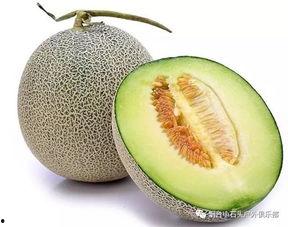 烟台网纹瓜今日价格,新鲜上市，品质优价实惠