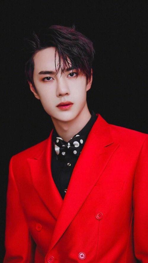 明星网红戴吸钱星,揭秘明星网红戴吸钱星的神秘魅力