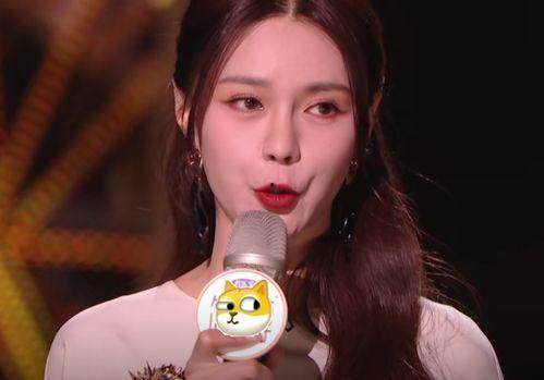 演员歌手明星网红是谁,揭秘当红演员、歌手、明星网红的闪耀时刻