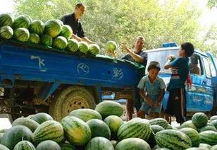 瓜州南岔镇今日新闻,聚焦乡村振兴，共绘美好家园新画卷