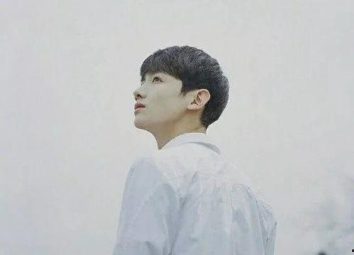 高科技明星网红直播,揭秘网红明星的直播魅力