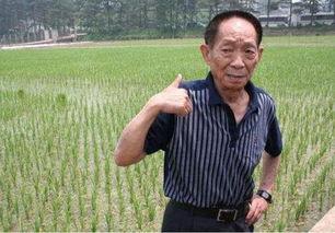 袁隆平明星网红是谁,从田间劳模到明星网红的传奇人生