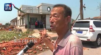 瓜台子村今日新闻,乡村振兴新篇章,村民生活焕新颜