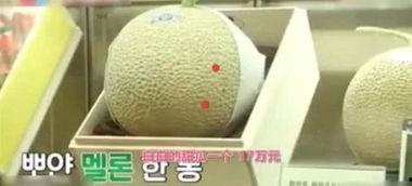 北海哈密瓜今日多少钱一斤,价格几何？”